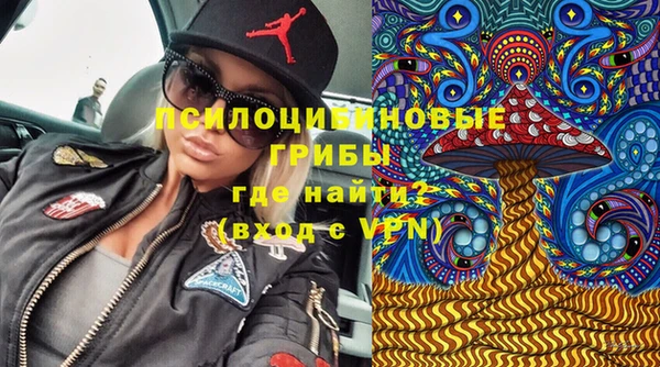 MDMA Premium VHQ Аркадак