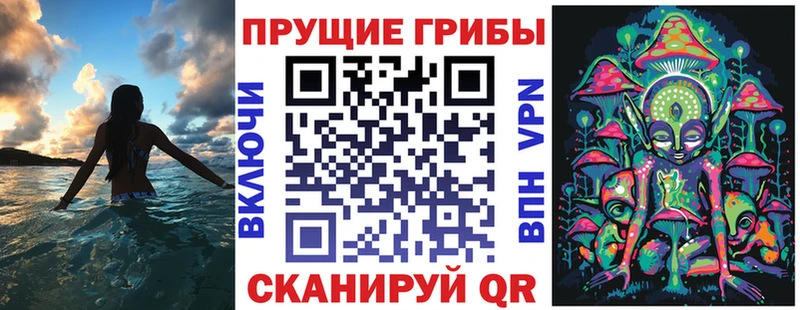 Псилоцибиновые грибы Cubensis  купить закладку  Бабушкин 